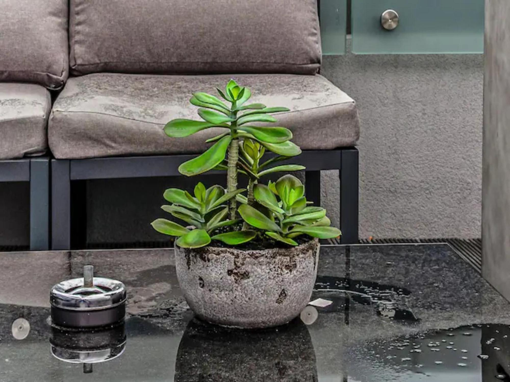 شقة Pass The Keys Penthouse Oasis In Trendy Fulham لندن المظهر الخارجي الصورة